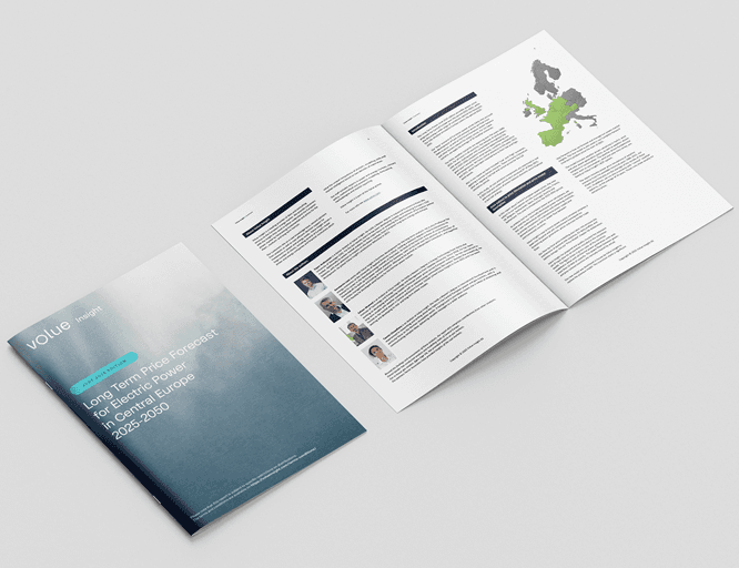 Preview of Insight's Long-Term Report